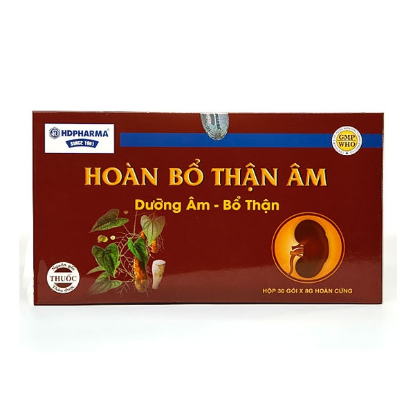 Hoàn bổ thận âm HD - 2