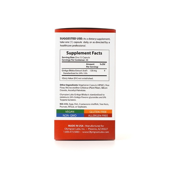 Ảnh của GINKGO BILOBA 120MG - Viên uống bổ não