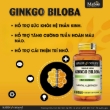 Ảnh của [HÀNG NHẬP KHẨU] Mason Natural Ginkgo Biloba hỗ trợ tuần hoàn não trí nhớ (60 viên)