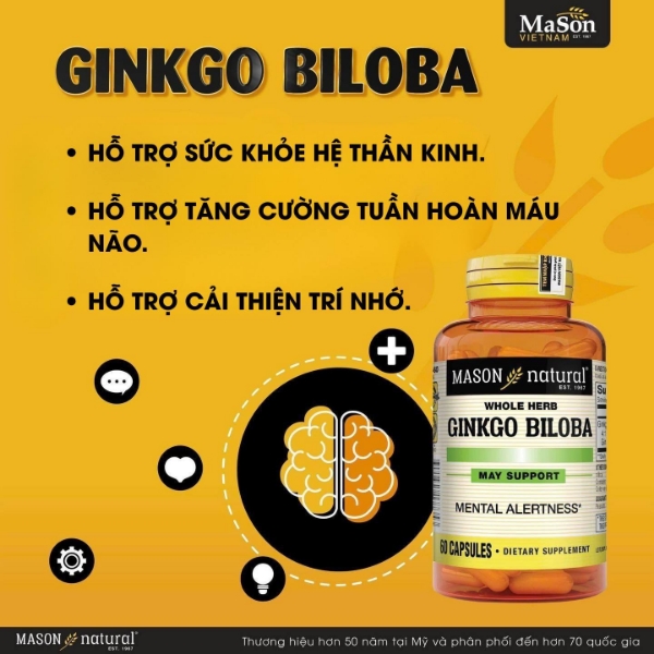 Ảnh của Mason Natural Ginkgo Biloba – Hỗ trợ tăng cường sức khỏe não bộ, cải thiện trí nhớ (lọ 60viên)