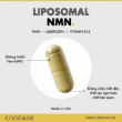 Ảnh của [HÀNG NHẬP KHẨU] Viên uống Liposomal NMN Platinum Codeage Hỗ Trợ Trẻ Hóa Tế Bào, Tăng Cường Sức Khỏe Hộp 90 viên