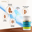 Ảnh của [HÀNG NHẬP KHẨU]Glucosamin Max HERB OF GOLD hỗ trợ giảm triệu chứng đau khớp do viêm khớp, thoái hóa khớp (lọ 90viên)